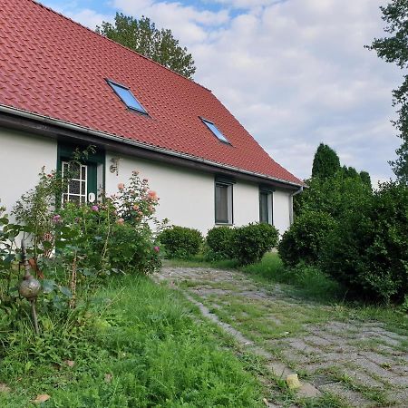 Oeko-Ferienhaus Rappin Kültér fotó