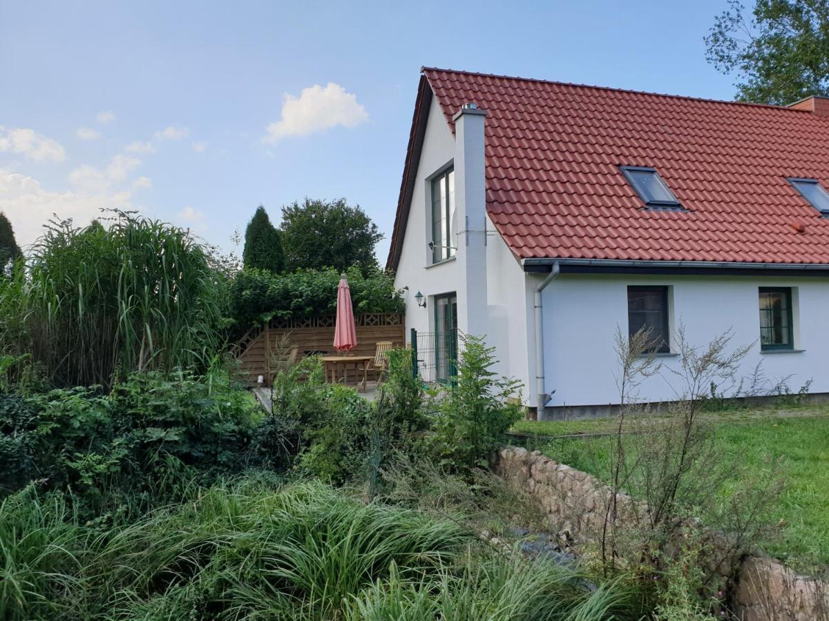 Oeko-Ferienhaus Rappin Kültér fotó