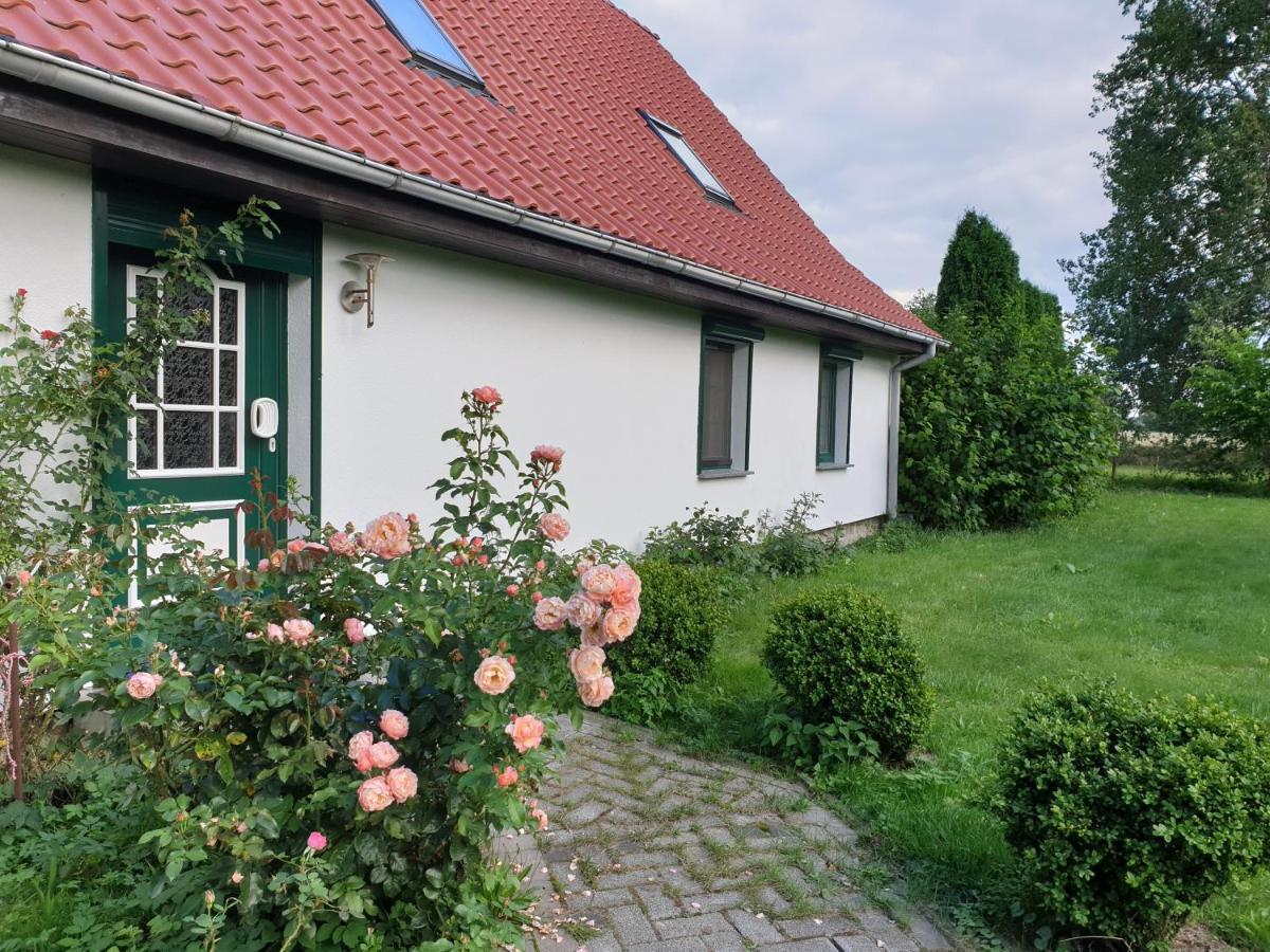 Oeko-Ferienhaus Rappin Kültér fotó